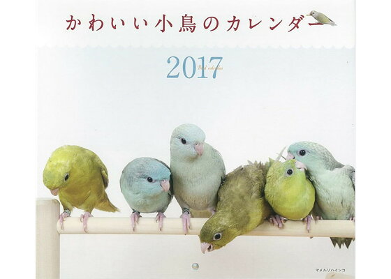 楽天ブックス 壁掛 17年ミニカレンダー かわいい小鳥のカレンダー 蜂巣 文香 本 楽天ブックス 壁掛 17年ミニカレンダー かわいい小鳥のカレンダー 蜂巣 文香 本